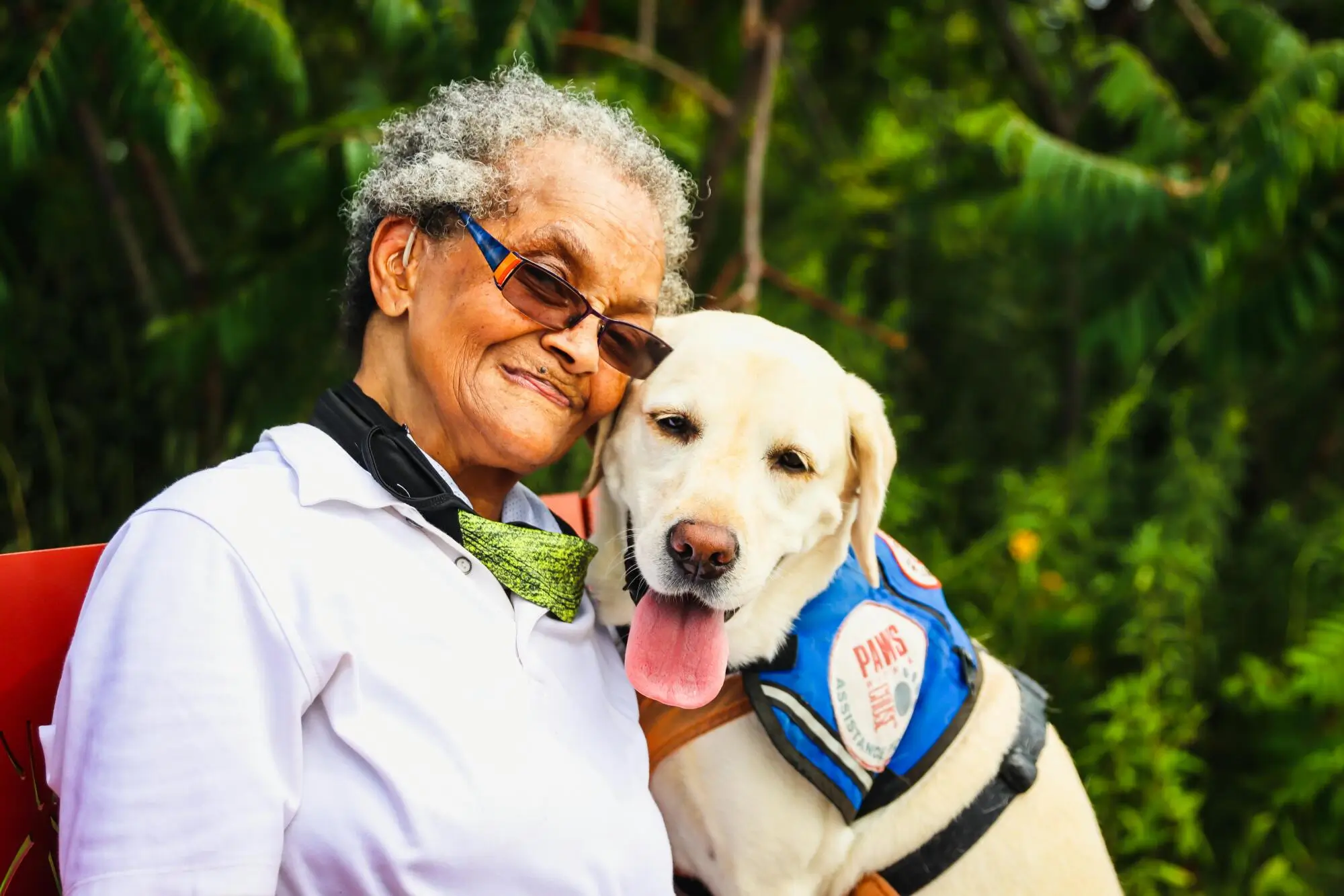 The Difference Between Service, Emotional Support Animals and Pets